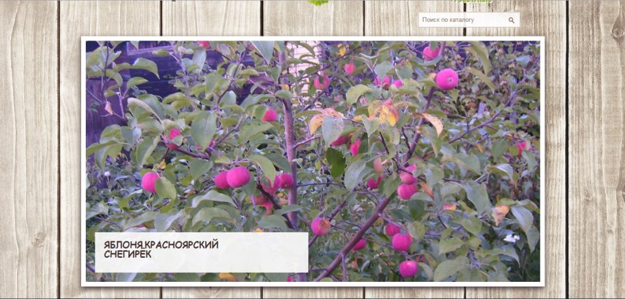 "���� �����������"